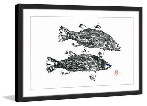Blue Eyed Fish