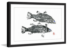 Blue Eyed Fish