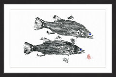 Blue Eyed Fish