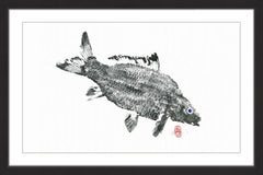 Carp