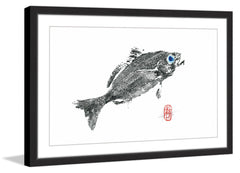 Corvina
