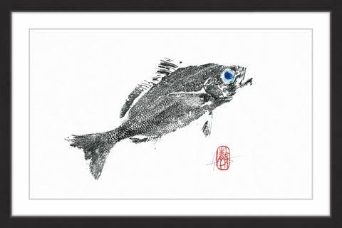 Corvina