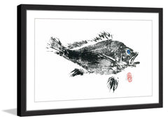 Large Black Bass