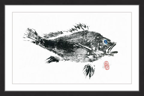 Large Black Bass