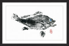 Large Black Bass