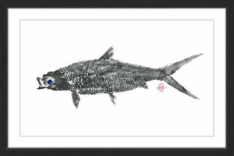Milk Fish