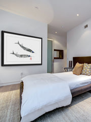 Needle Fish