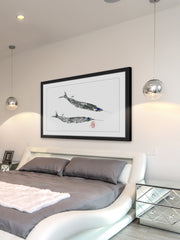 Needle Fish