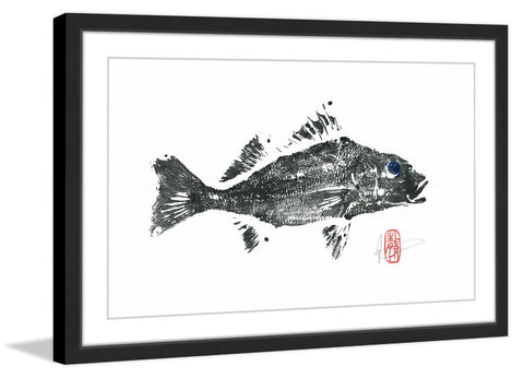 Queen Corvina