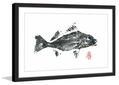 Queen Corvina