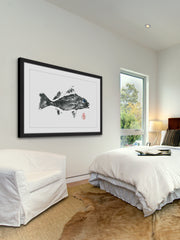 Queen Corvina