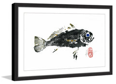 Queen Corvina 2
