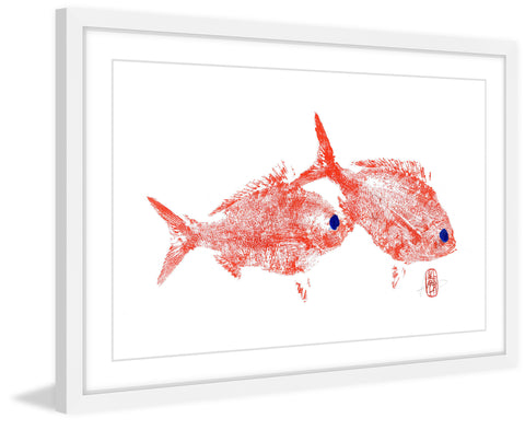 Red Bream