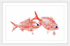 Red Bream
