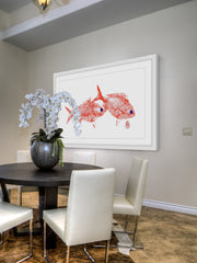 Red Bream