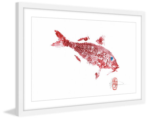 Red Mullet