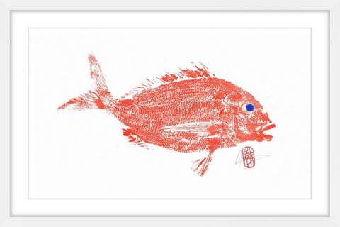 Red Snapper