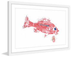 Rose Snapper