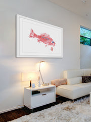 Rose Snapper