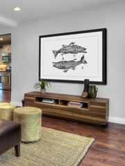 Sea Bass