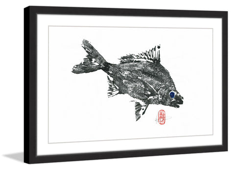 Silver Bream