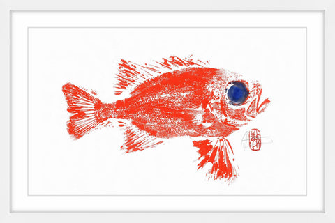 Squirrel Fish