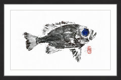 Squirrel Fish in Black