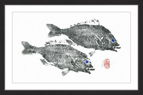 Striped Seabream