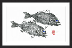 Striped Seabream