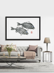 Striped Seabream