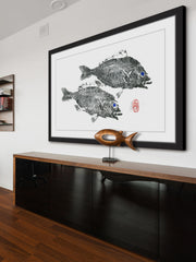 Striped Seabream