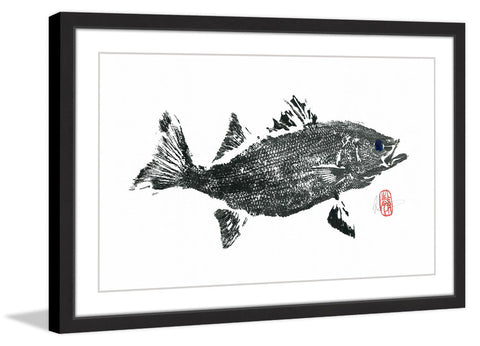 Striped Bass