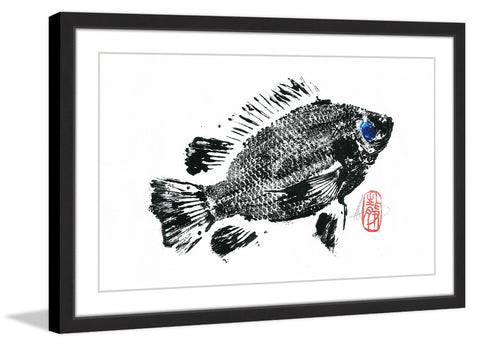 Tilapia
