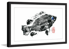 Tilapia