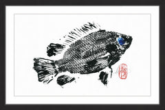 Tilapia