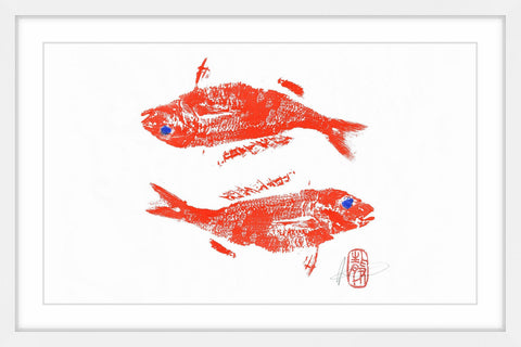 Wrasse