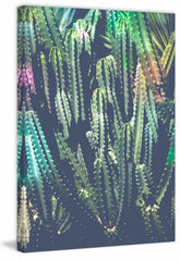 Cactus Jungle