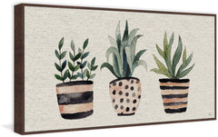 Three Plants