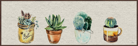 Cuatro Cactus
