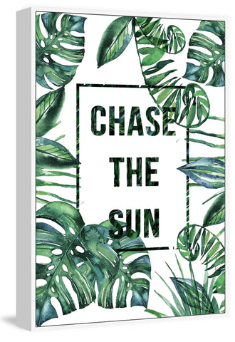 Chase the Sun