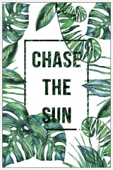 Chase the Sun