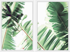 Laguna Vista Diptych