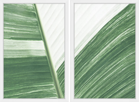 Ventura Diptych