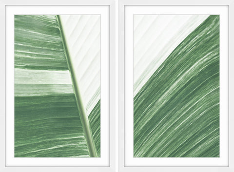 Ventura Diptych