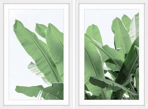 Palm Bay Diptych