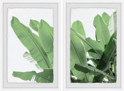 Palm Bay II Diptych
