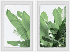 Palm Bay II Diptych