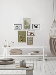 Discreet Nature Hexaptych