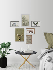 Discreet Nature Hexaptych
