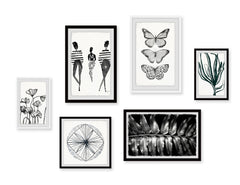 Lifeblood of Beauty Hexaptych